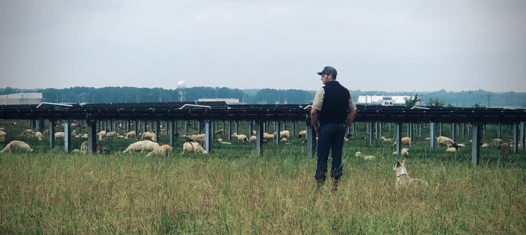 Case Study: Millington Solar Farm – Silicon Ranch