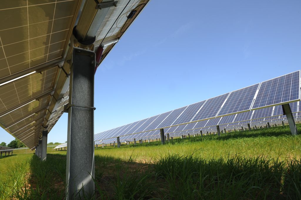 Solar panel at Memphis Agricenter