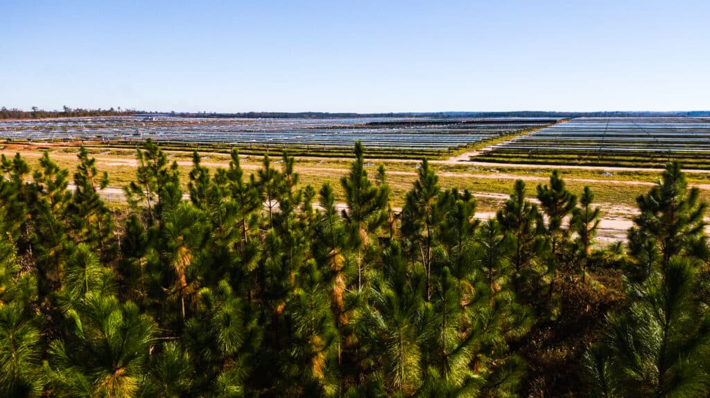 Lumpkin Solar Farm