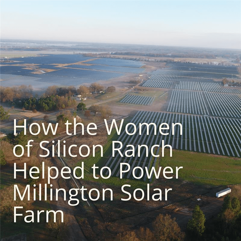 Honoring International Women’s Day How the Women of Silicon Ranch