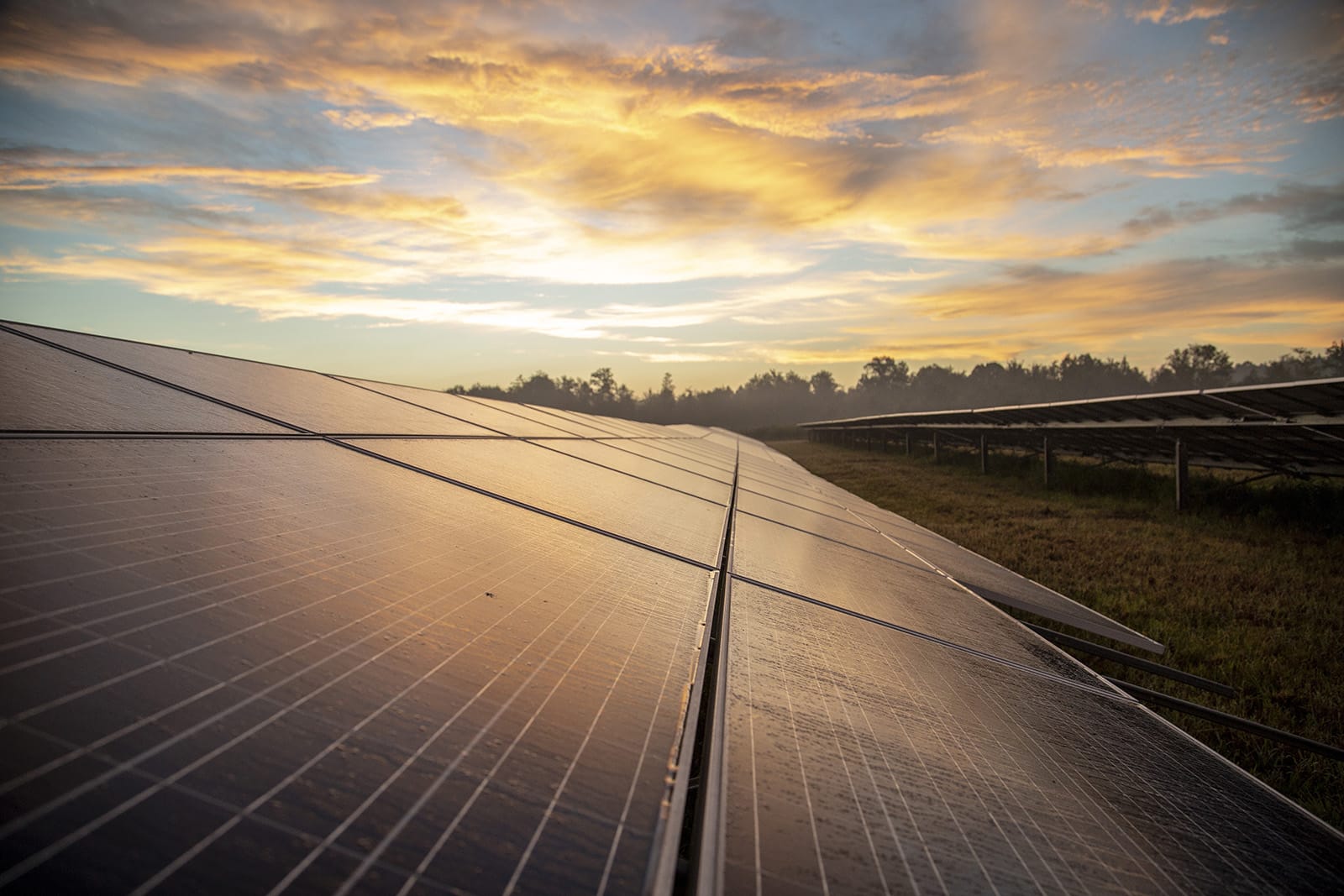 Solar panel on farm during sunset