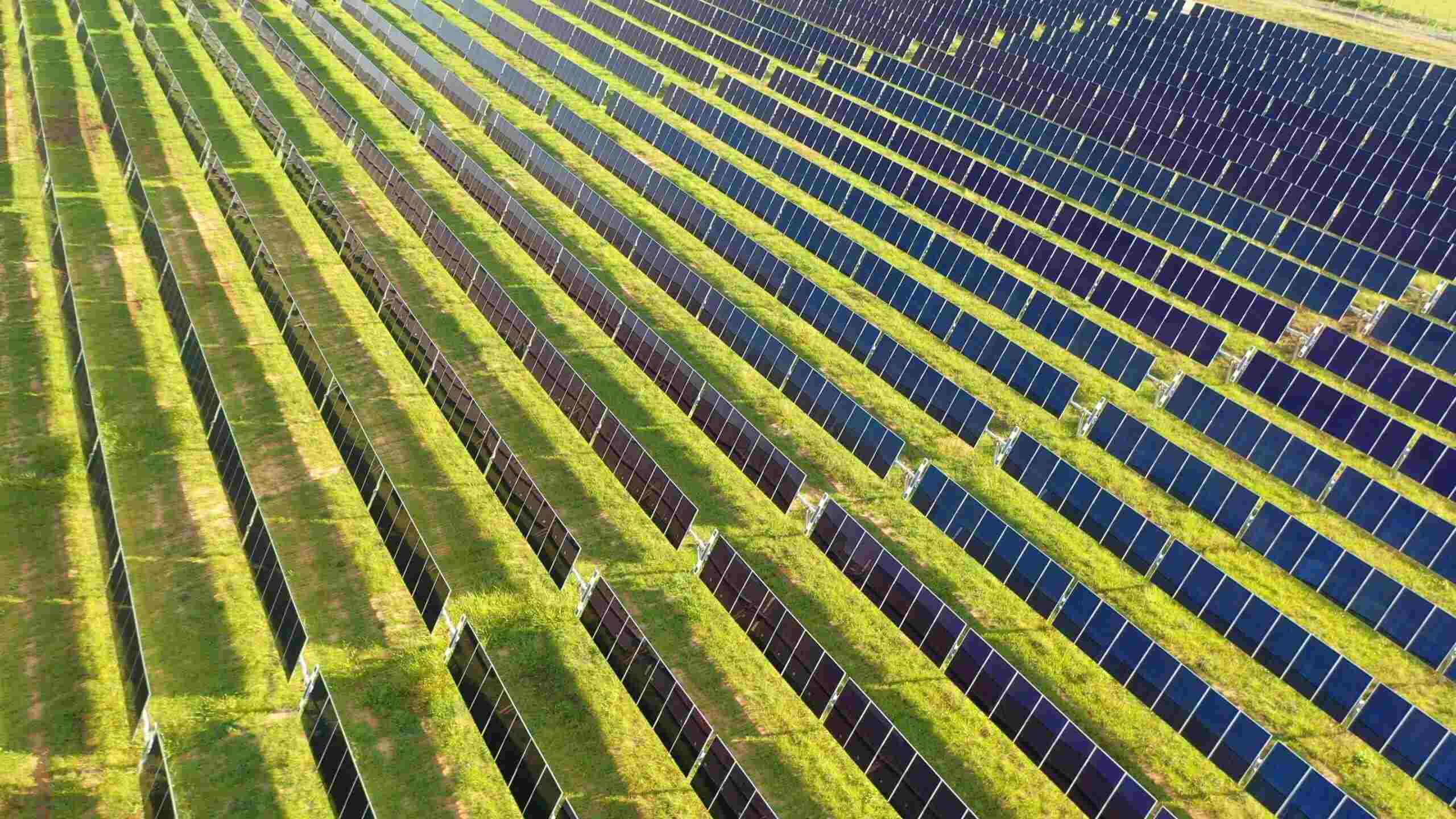 Silicon Ranch Lancaster Solar Farm in Calhoun County