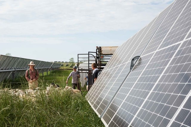 rancher on regenerative energy farm