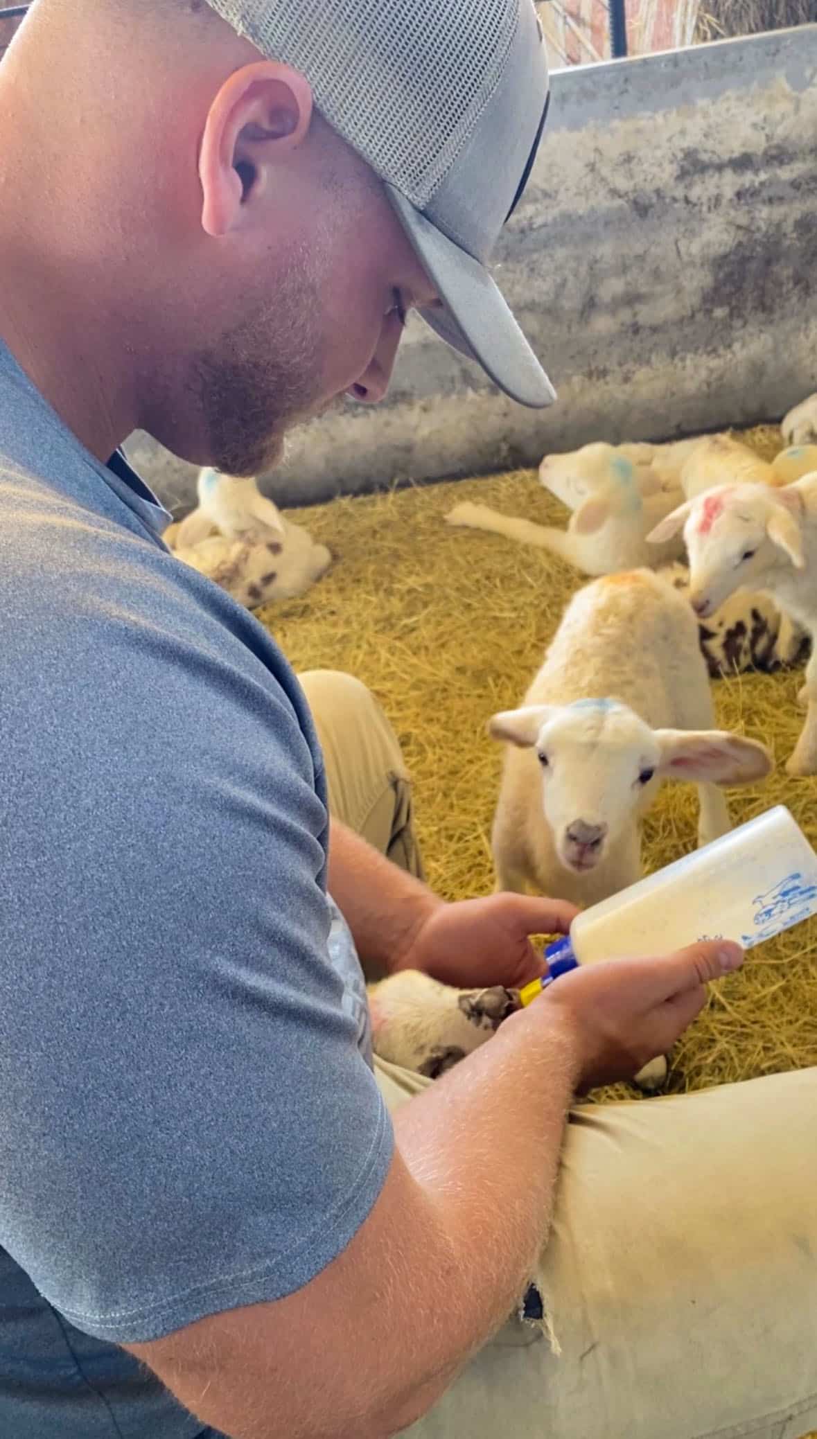 Agrivoltaic technician Jackson Yawn hand feeding one of the 850 newborn lambs that joined the Silicon Ranch flock during the 2023 lambing season