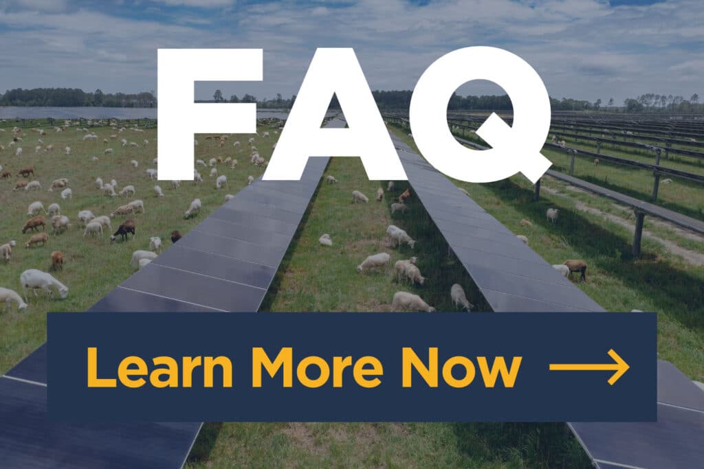 Regenerative Energy & Agrivoltaics – Silicon Ranch