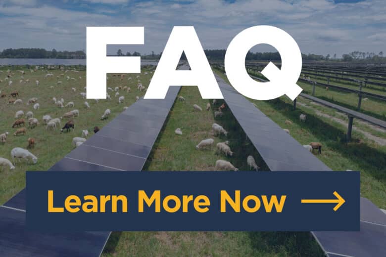 FAQ - Learn More Now, Background has solar farm with sheep grazing