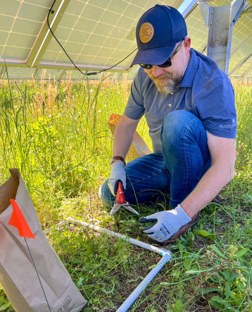 Team member working in the field