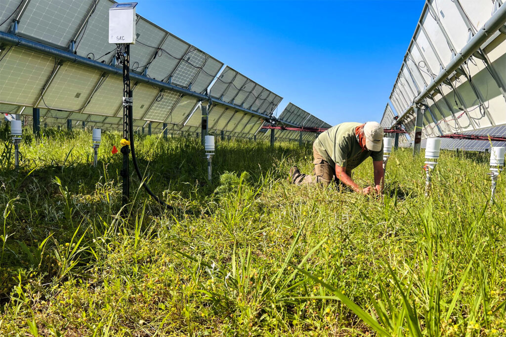 Team member working at solar site