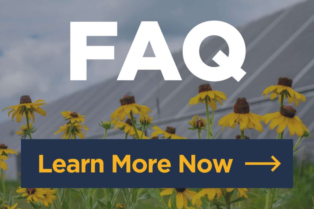 FAQ Learn More Now text in the foreground with Solar Panels and Black-eyed Susan Flowers shown in the background.