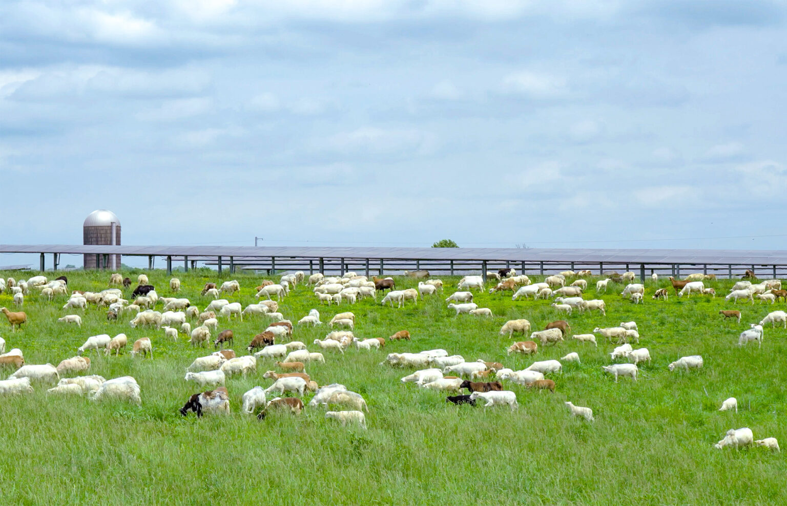 Stockton Solar Farm – Silicon Ranch