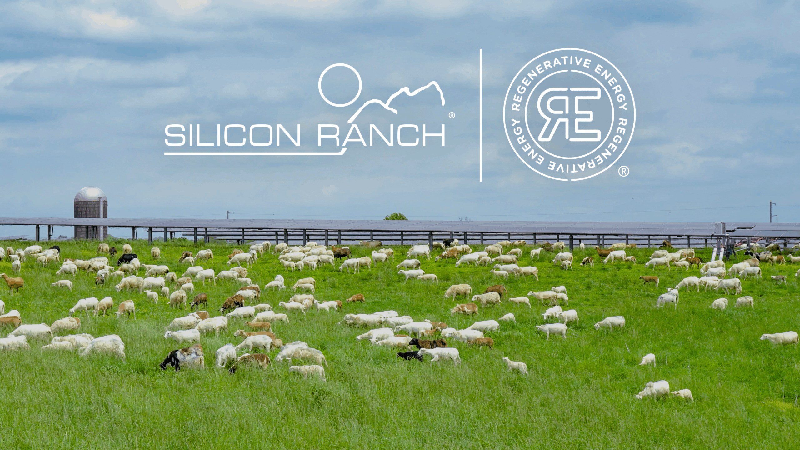 Turkey Creek Solar Ranch - Revitalizing Soil and Farm Economies with Solar + Agriculture